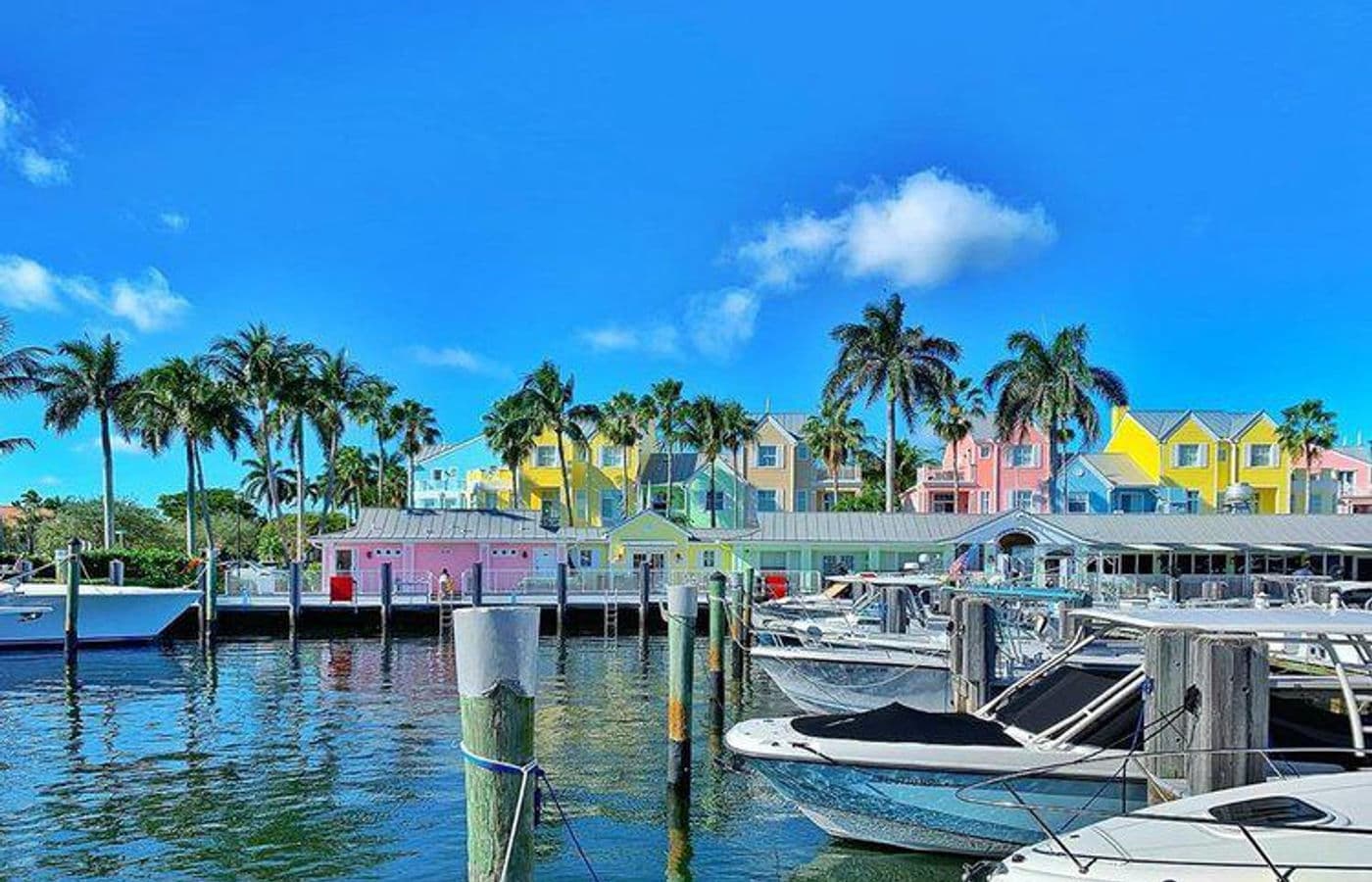Numerous small boats on the water, with a palm tree in the background and bright blue sea.