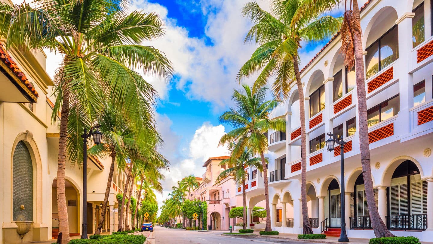 Palm Beach — elegant boulevard with palm trees.