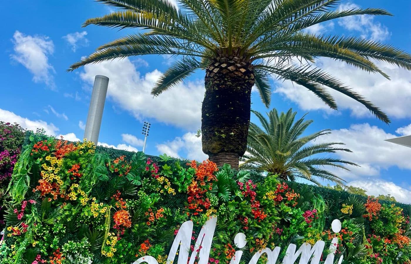 Lush palm tree and flower hedge with the Miami Open lettering.