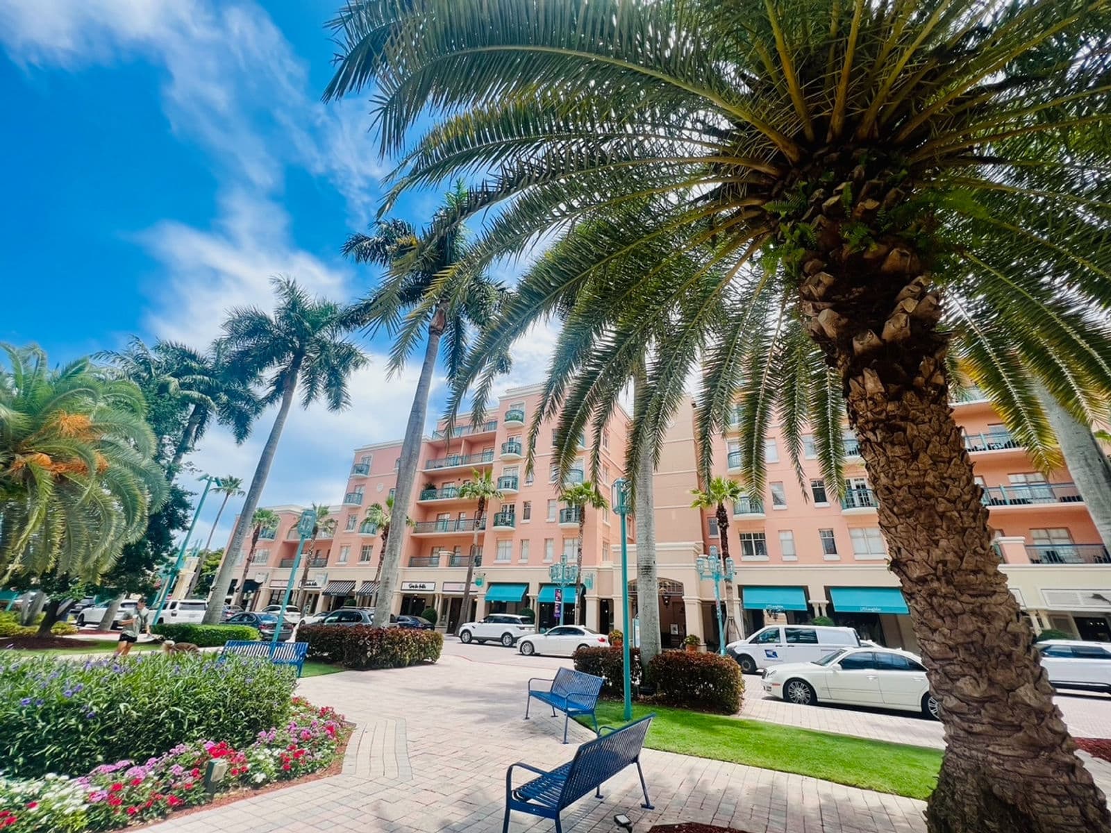 Palm trees in the foreground and large estates in the background — typical Mizner Park architecture in Boca Raton.