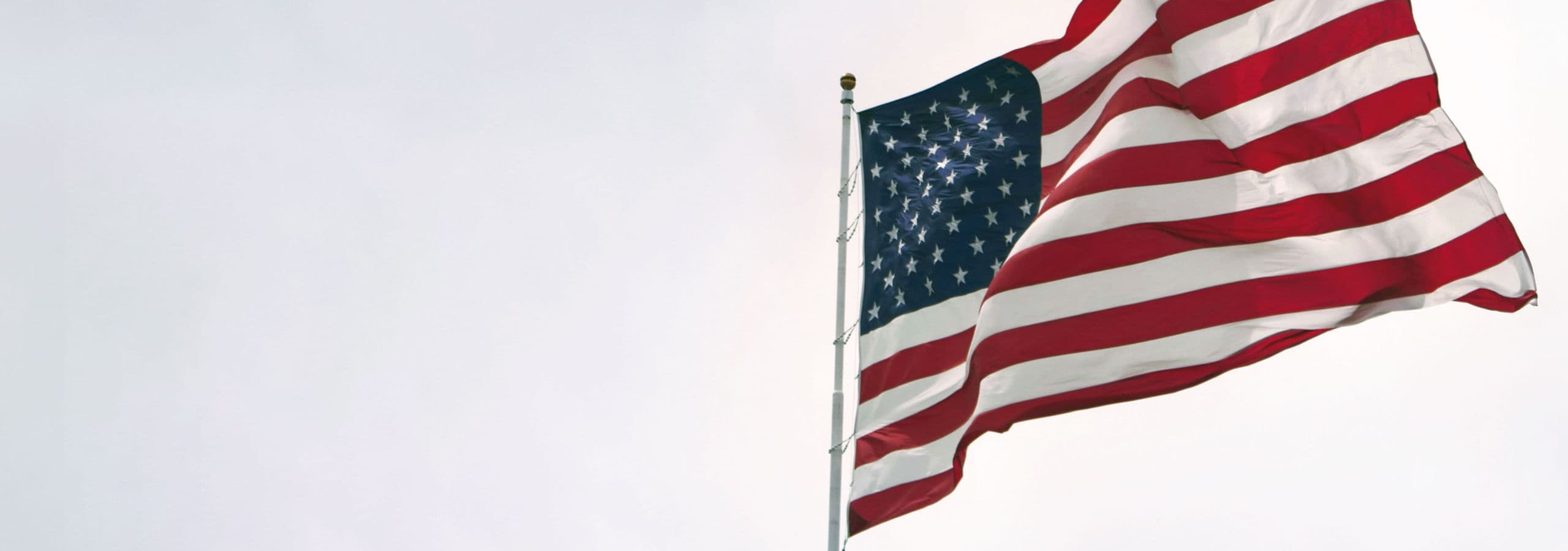 United States flag with a pale sky β background for Tizianaβs reference quote.